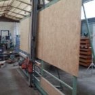 HOLZHER, Pk 341, Other, Other