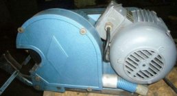 NEWMANN, xxx, Other, Other