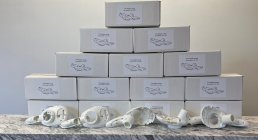 SasMarevolution, Spare parts, Other, Other
